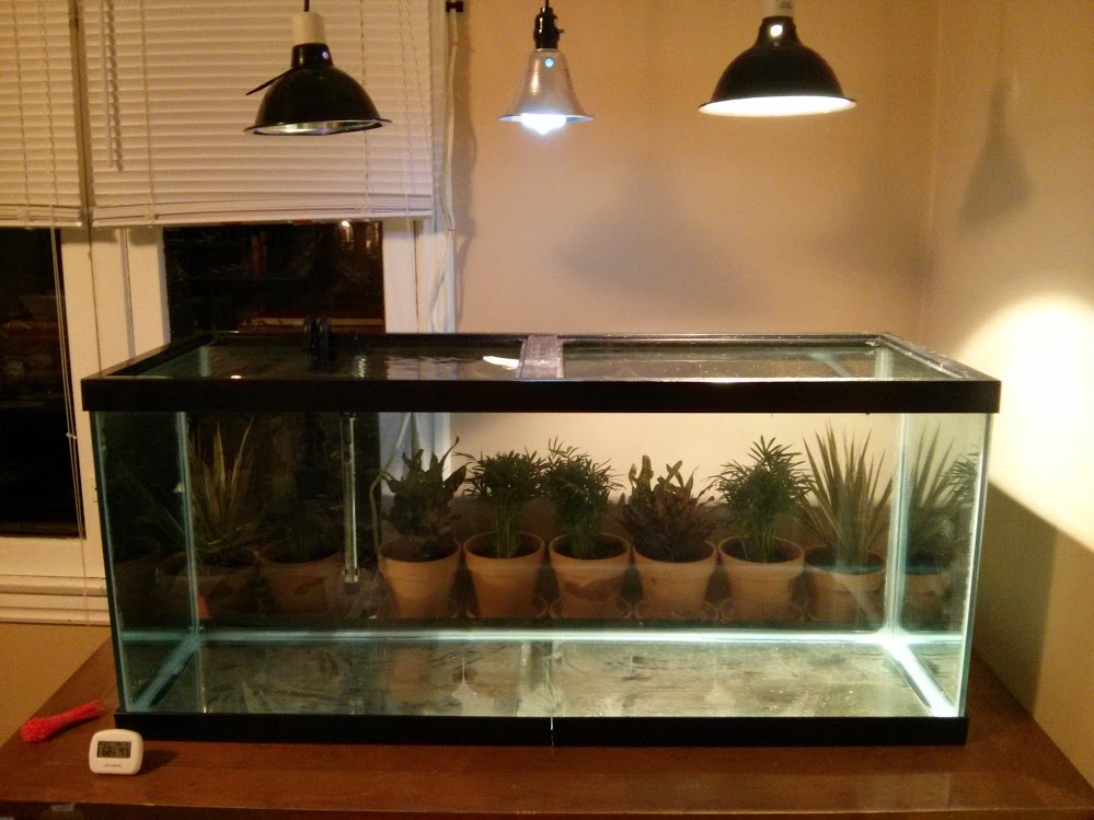 Indoor Turtle Tank